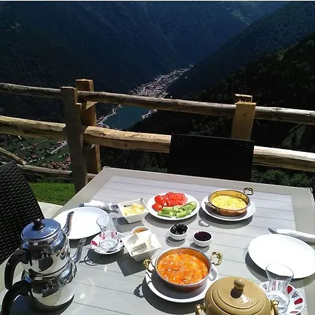 Panorama Uzungol 호텔
